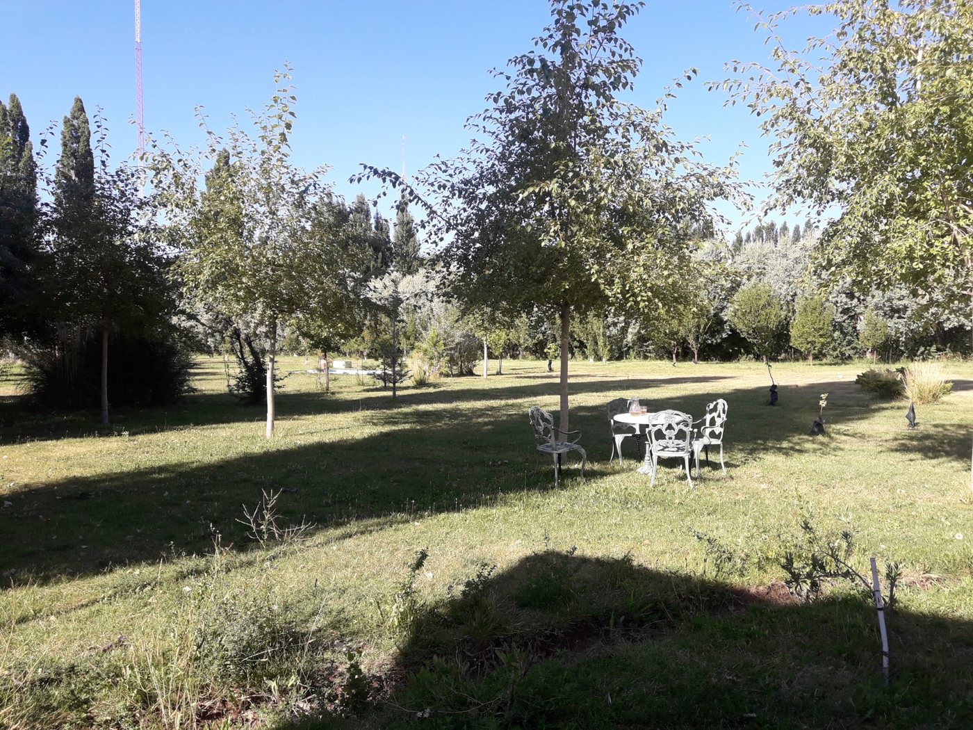 El parque al amanecer