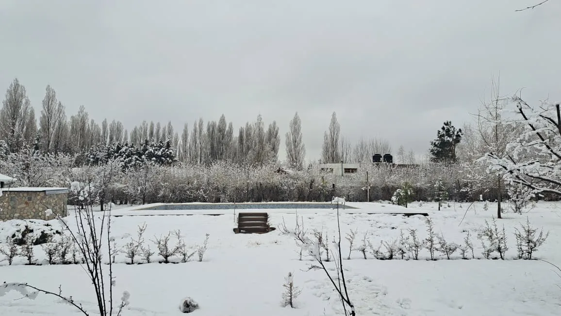 Parque y pileta de la Estancia Los Morros cubiertos de nieve, con álamos nevados y la Cordillera al fondo