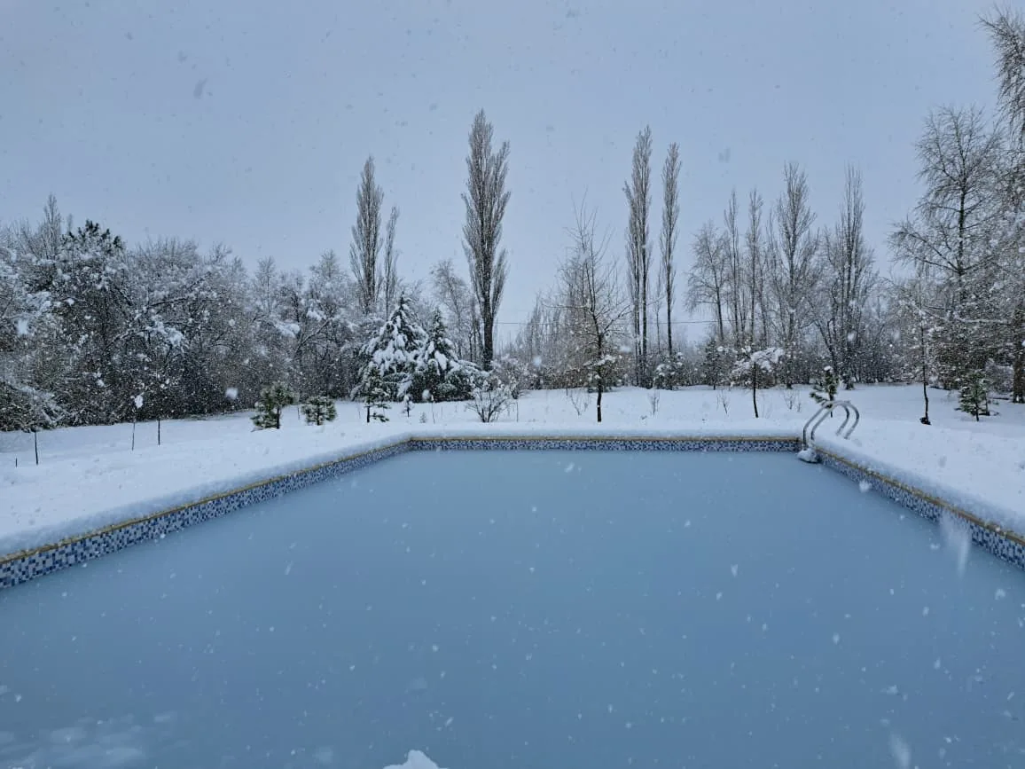 Nieve cayendo sobre la pileta de Los Morros, entre pinos y álamos nevados