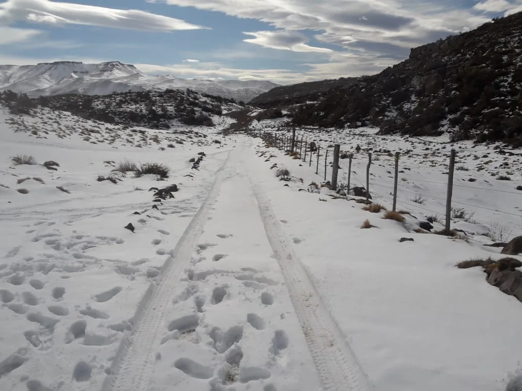 Camino del campo cubierto de nieve en invierno, en el Refugio Campo El Morro