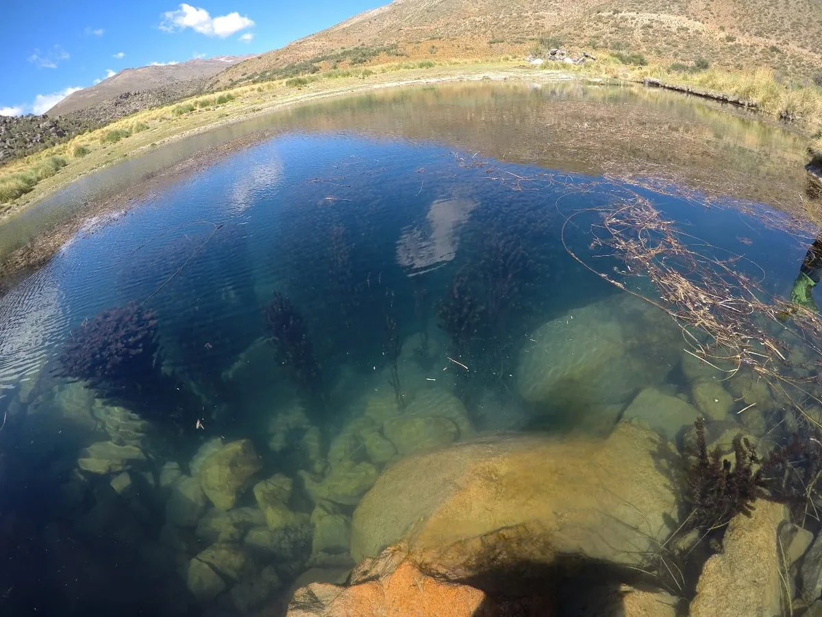 Ojo de agua de vertiente natural de aguas cristalinas en el campo